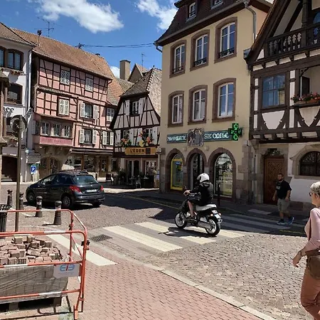 Apartment Le Duplex -- Old Town Obernai